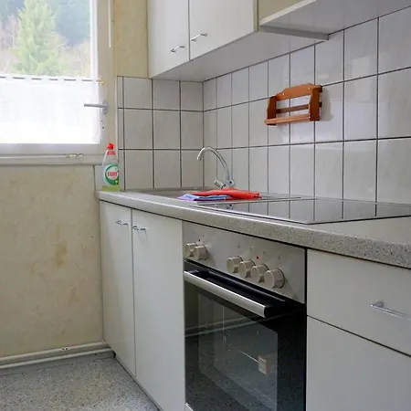 Ferienhaus Bungalow 251 Meyersgrund Im Thüringer Wald Ilmenau